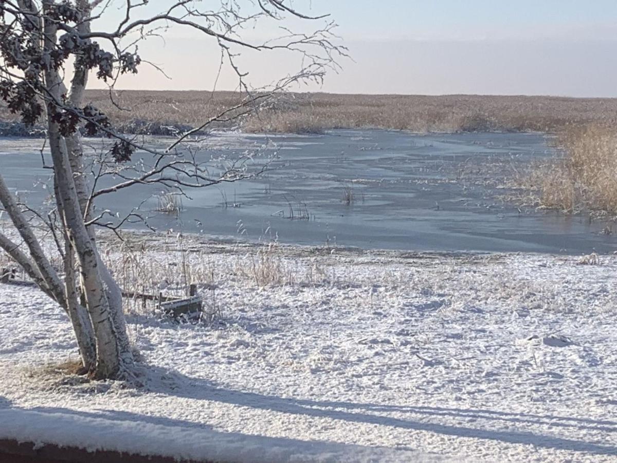 Lakeview & Wildlife Au Gres ภายนอก รูปภาพ