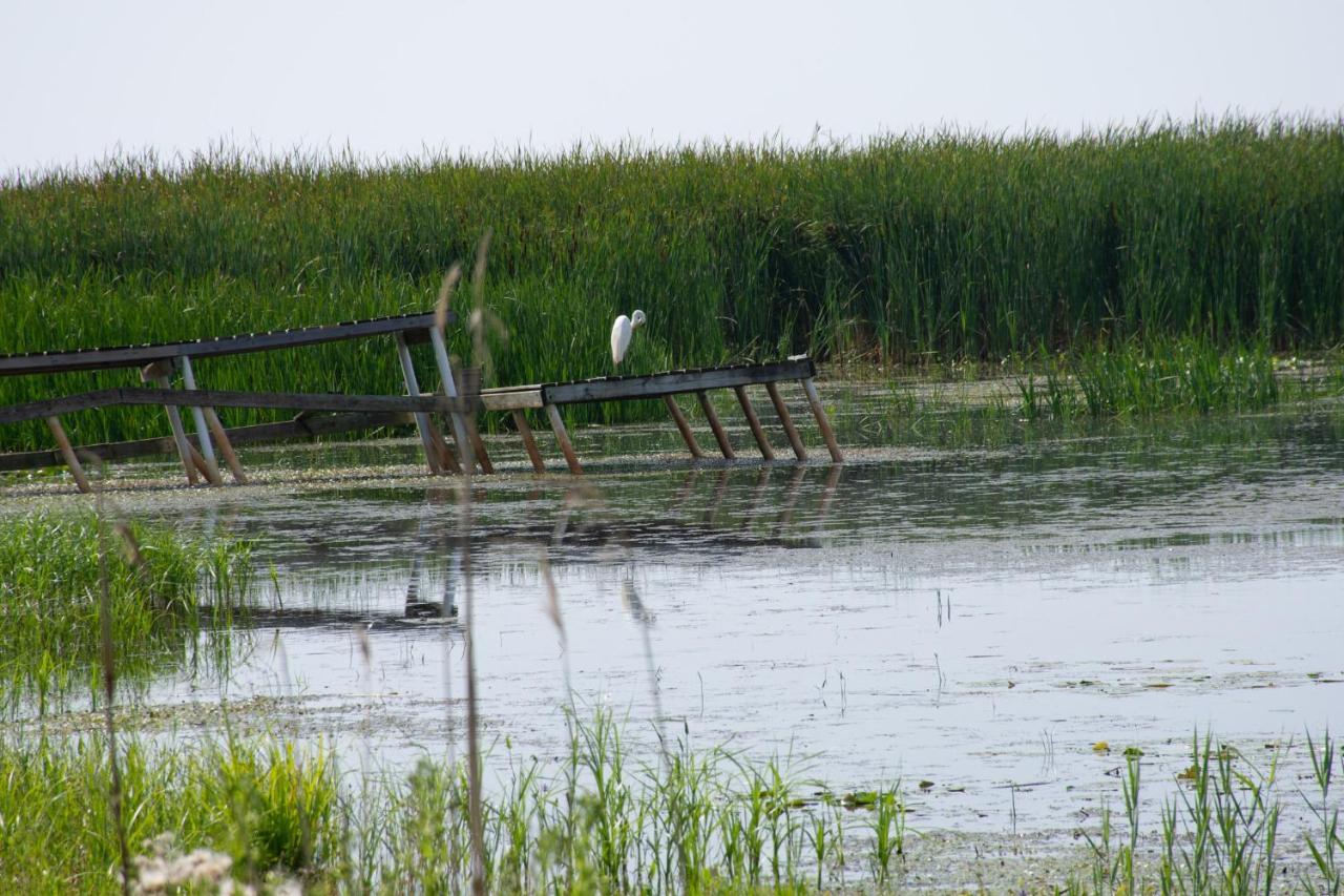 Lakeview & Wildlife Au Gres ภายนอก รูปภาพ