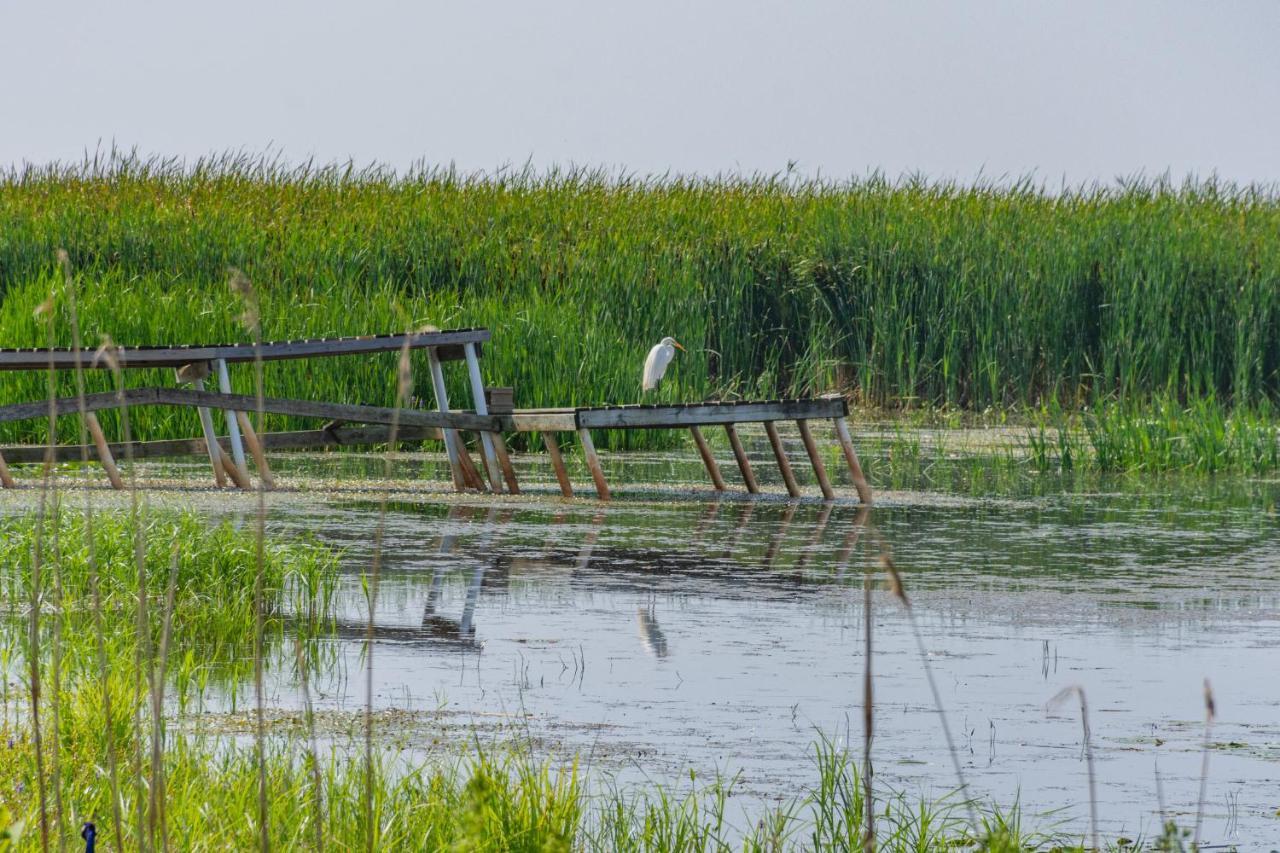 Lakeview & Wildlife Au Gres ภายนอก รูปภาพ